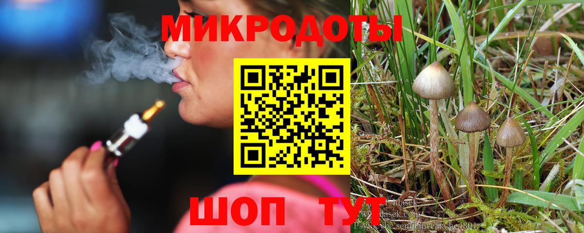 Псилоцибиновые грибы Magic Shrooms Бор
